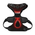 thumbnail image 5 of Lsque The Binding of Isaac Dog Harness, No-Pull Pet Harness with 2 Leash Clips, Adjustable Soft Padded Dog Vest with Easy Control Handle for Large Dogs-Small, 5 of 9