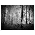 thumbnail image 1 of Designart Beautiful Forest Morning Panorama Canvas Wall Art, 1 of 4