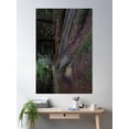 thumbnail image 2 of Muddy Road Through Forest Poster Wall Art, Modern Wall Decor, 24x36 UNFRAMED, 2 of 3