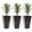 Brown#9, variant on Garden Pots Outsunny 28" Tall Outdoor Planters, Set of 3 Large Taper Planters with Drainage Holes and Plug, Faux Wood Plastic Flower Pots for Outdoor, Indoor, Garden, Patio, Tan,Outdoor Garden Plant