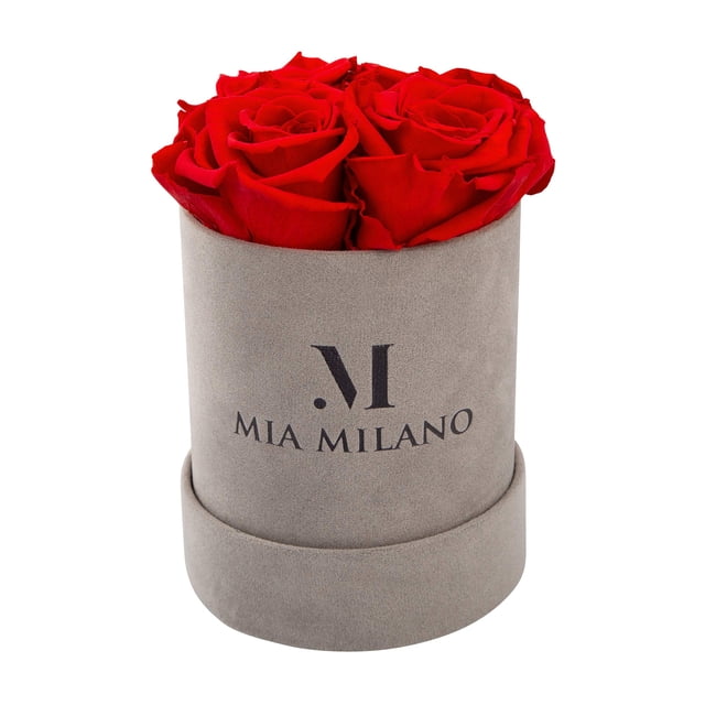 Mia Milano Roses in a Box I Preserved Roses Box Handmade in The USA I Infinity Flowerbox for Delivery I Preserved Real Roses in Velvet Box 3 Years Shelf Life