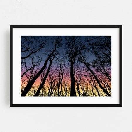 View From The Bottom Of The Forest Trees - Digital Art Silhouette Sunset Forest Nature Woodland Scenic Black Framed Wall Art Print 16 x 20 inches
