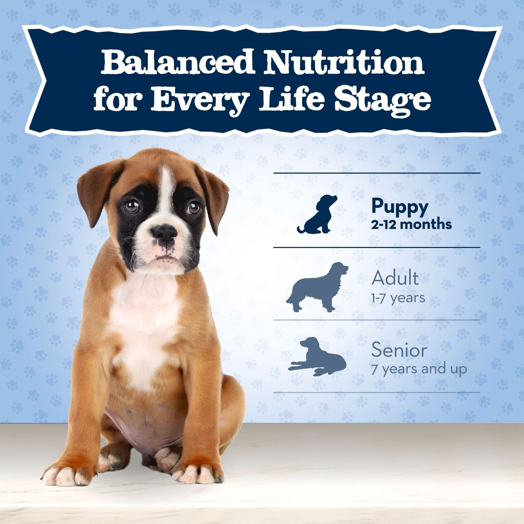 Blue Buffalo Baby BLUE Healthy Growth Puppy Dry Food, High-Protein Chicken, 4-lb Bag