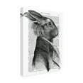 thumbnail image 2 of Trademark Fine Art 'Rabbit Portrait, Profile' Canvas Art by Fab Funky, 2 of 3