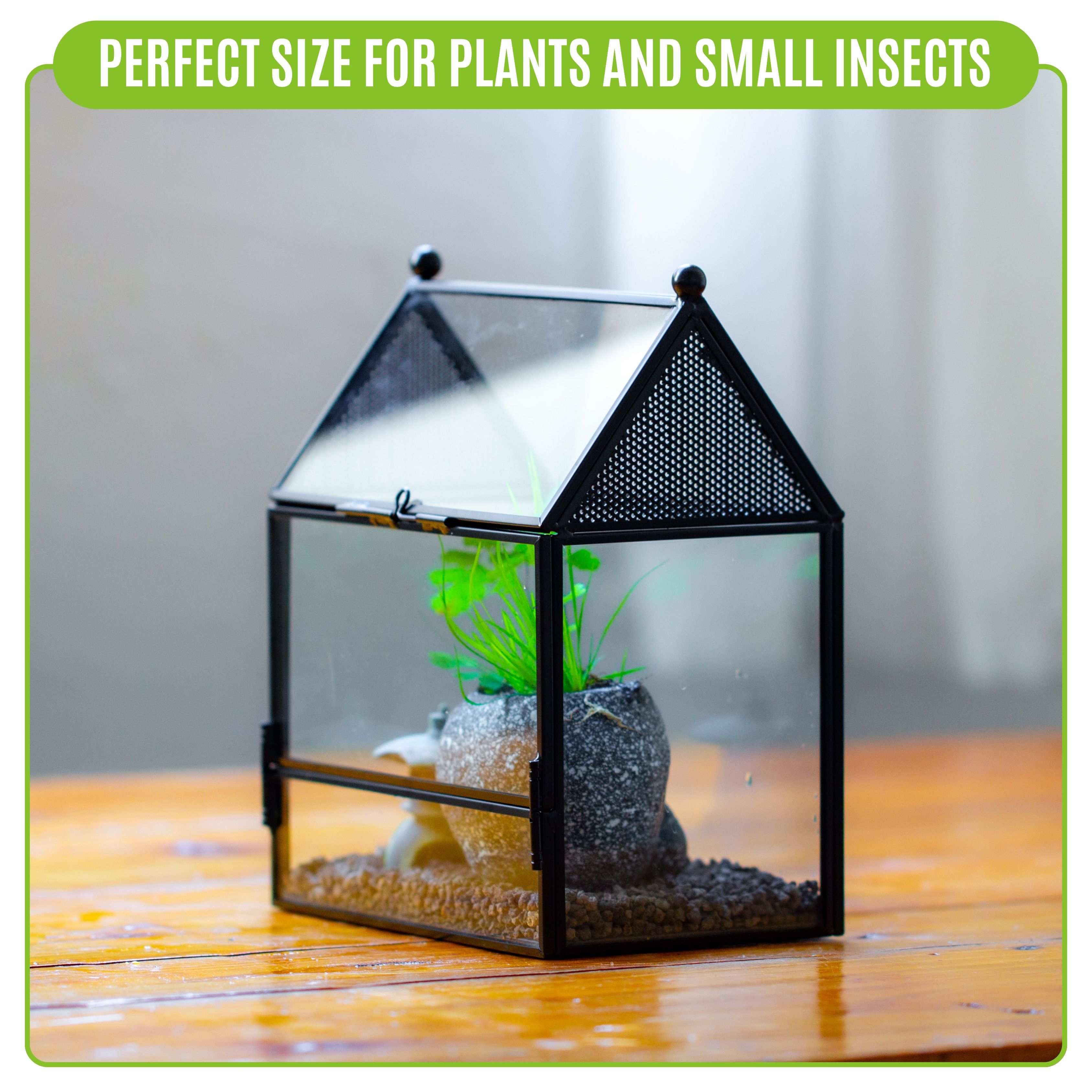 NCYP Glass Enclosure with Vent Holes for Insect, Spiders - 5.8'' x 3.8'' x 6.8'', Small Closed Front Opening Door Succulent Terarium - House Shape Habitat, Home Decor Black (No Plants)