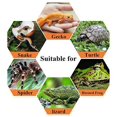 thumbnail image 3 of Boite d'Alimentation pour Reptiles, Porte Acrylique Transparent, 3 of 5