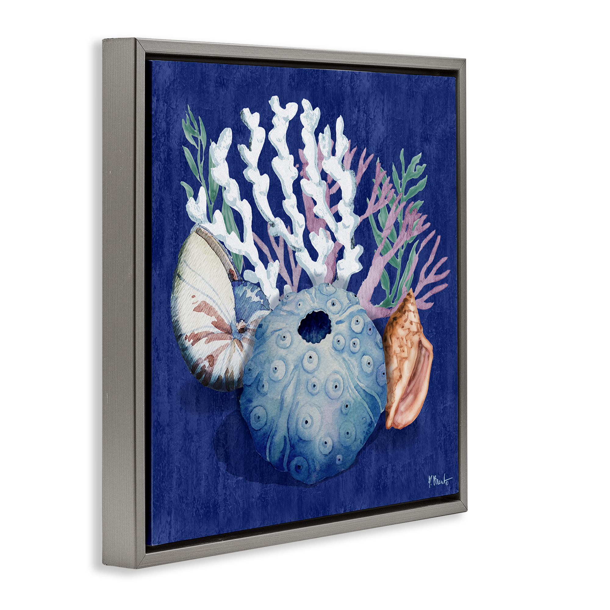 Stupell Industries Sea Urchin & Coral Coastal Painting Gray Floater Framed Canvas Art Print Wall Art, 18 x 18