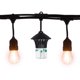 thumbnail image 1 of Cadena de luces LED TIKI BiteFighter, transparentes, enchufables, 24 W, 14 luces, 1 of 1