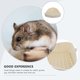 thumbnail image 3 of EeaseMX Caja de arena de conejito de plástico para mascotas para mascotas Potty entrenador Caja de rincón Caja de cama, 3 of 8
