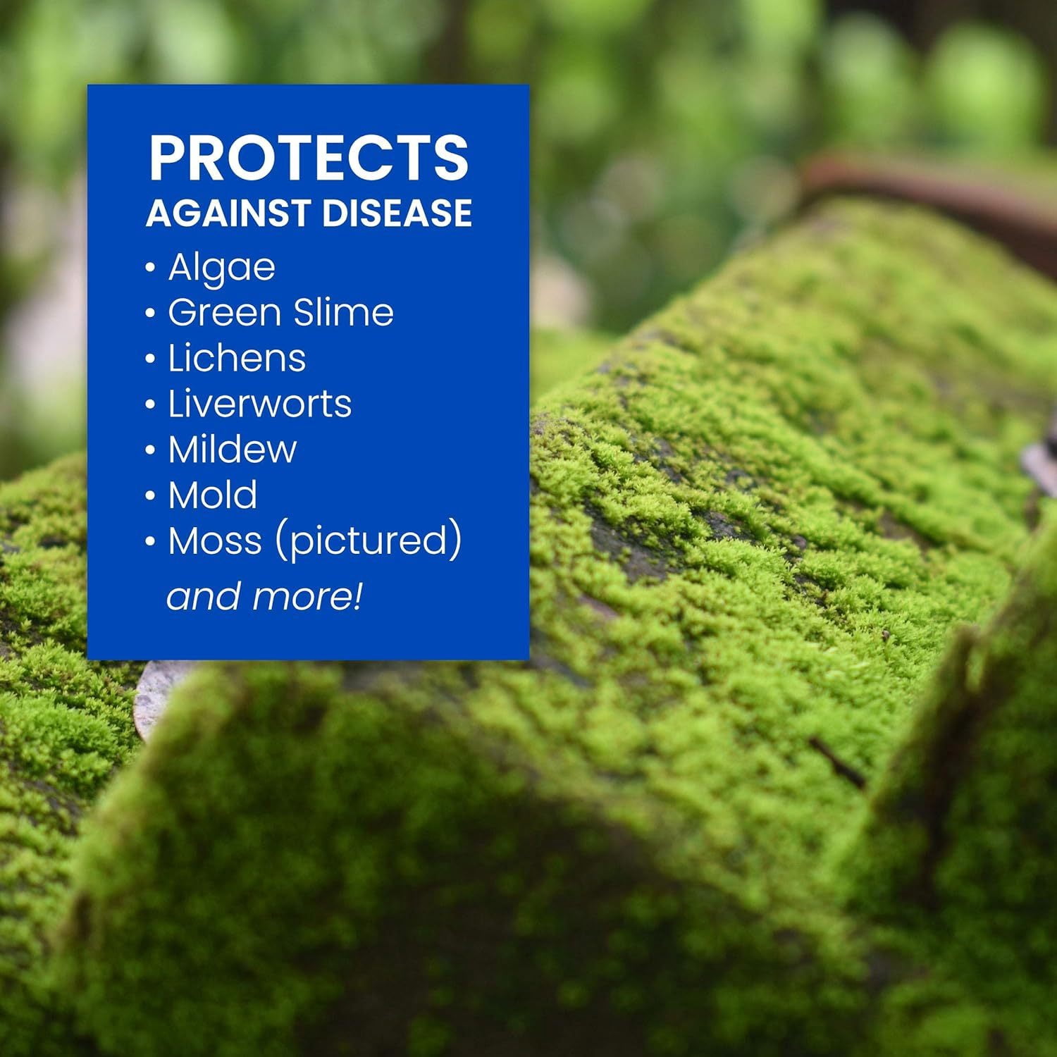BioAdvanced 32 oz. Ready-to-Spray 2-in-1 Moss and Algae Killer 704710