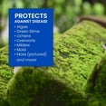 thumbnail image 2 of BioAdvanced 32 oz. Ready-to-Spray 2-in-1 Moss and Algae Killer 704710, 2 of 6