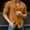 Brown, variant on toraway Mens Shirts Casual Stylish Fall Turtle Fall Clothes for Men Male Cotton Linen Solid Casual Plus Size Loose Shirt Mens Stand Collar Long Sleeve Shirt M