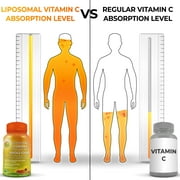 Liposomal Vitamin C 1500mg - made with Organic Acerola Cherry & Camu Camu, Supplements Studio 180ct