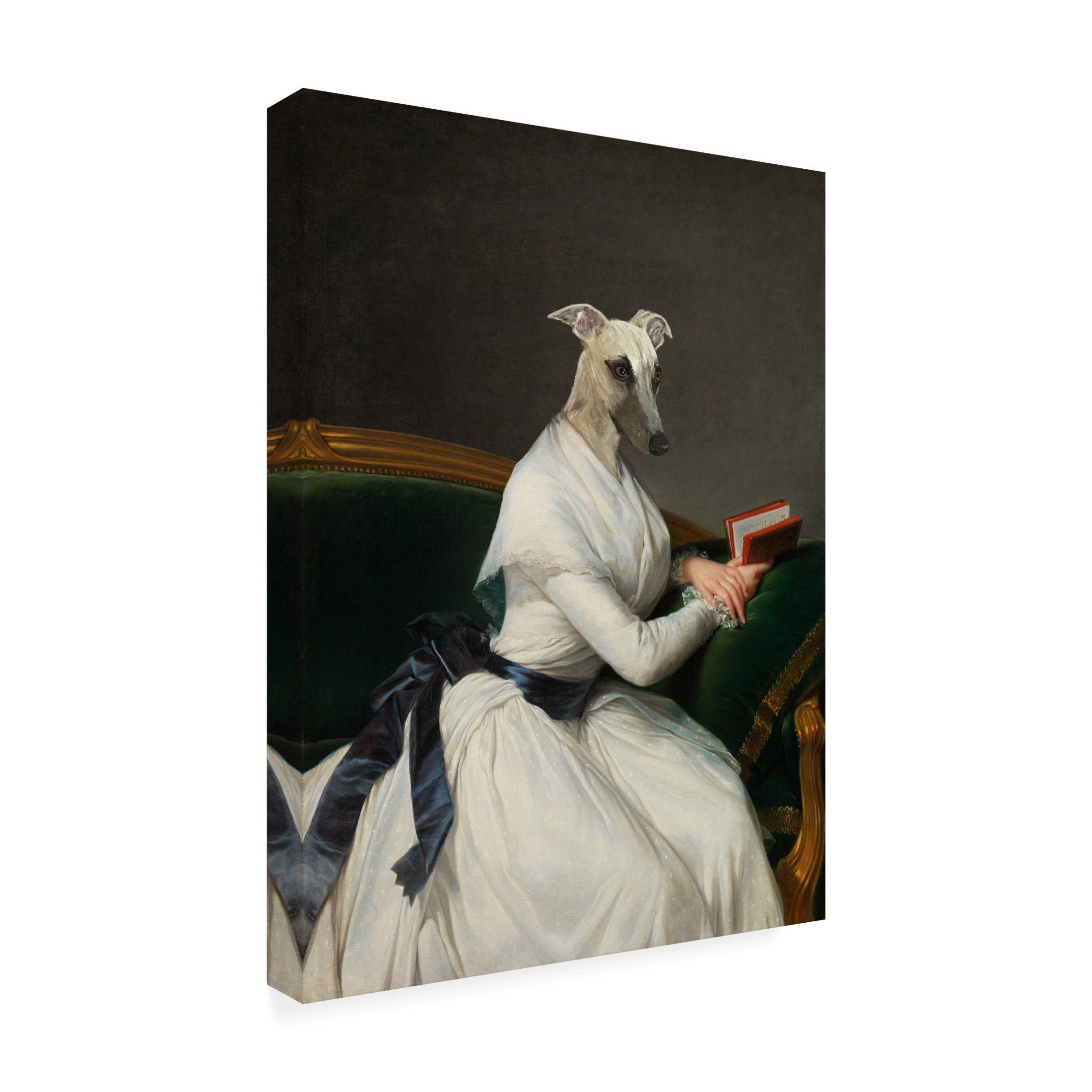 Trademark Fine Art Florent Bodart Telma Canvas Wall Art