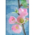 thumbnail image 2 of Mahan, Kathy 23x32 Black Ornate Wood Framed with Double Matting Museum Art Print Titled - Flowering Quince I, 2 of 4