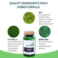thumbnail image 3 of Bioxtron AFA Stem Cell Supplement Chewable Tablets - Supports Joint & Muscle - Immune System - Energy Levels - Natural Blue Green Algae Spirulina - 60 Tablets, 3 of 8