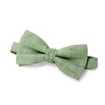 thumbnail image 2 of Spring Notion Men's Pre-tied Mottled Linen Bow Tie, 2 of 4