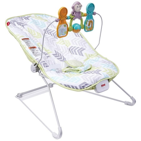 Deluxe Bouncer - Deluxe Bouncer: Green/Blue/Grey Fisher-Price