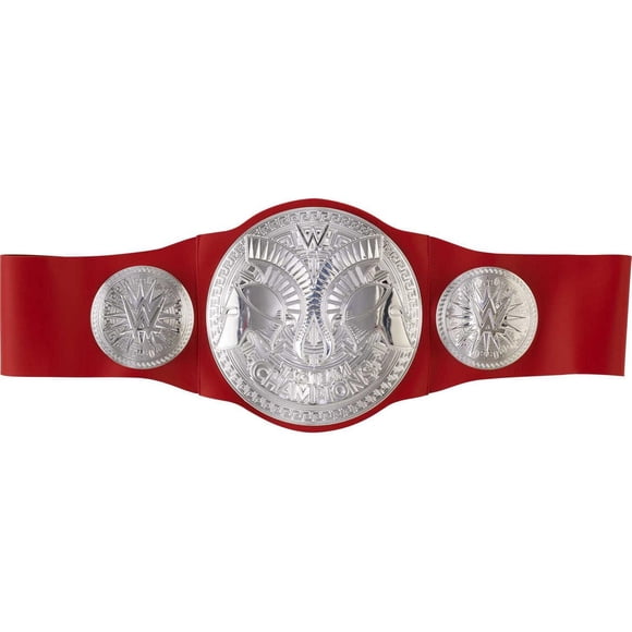 WWE 2024 Tag Team Championship Belt