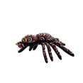 thumbnail image 5 of Tuffy Desert Tarantula Durable Plush Dog Toy, 5 of 9
