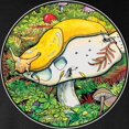 thumbnail image 3 of CafePress - Banana Slug Long Sleeve Dark T Shirt - Long Sleeve Dark T-Shirt, 3 of 4