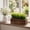 Brown, variant on Gaderth 14" Artificial Grass Plant in Wooden Planter, Black Planter Window Box, Rectangular Wooden Planter Potted Herb Plant for Home Decor, Rustic Windowsill Planter Box with Faux Greenery