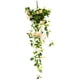 thumbnail image 1 of Flor Simulada Flor Artificial Planta Colgante Rosa Planta Colgante de Pared Planta Colgante de Pared para Sala de Estar Interior, 1 of 3