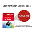 thumbnail image 2 of Paquete de Cartuchos de Tinta Canon PG-295 CL-286 para PIXMA, 2 of 4
