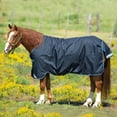 thumbnail image 3 of Horseware Ireland  Amigo Bravo 12 T/O Heavy 400g Navy/Navy 75, 3 of 4