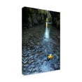 thumbnail image 2 of Trademark Fine Art 'Hanging On' Canvas Art by Pierre Leclerc, 2 of 3