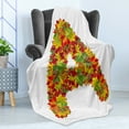 thumbnail image 4 of Letter a Soft Flannel Fleece Throw Blanket, Autumn Themed Leaves Vivid Color Palette Fall Seasonlphabet Sign, Cozy Plush for Indoor and Outdoor Use, 50" x 70", Vermilion Yellow Green, by Ambesonne, 4 of 5