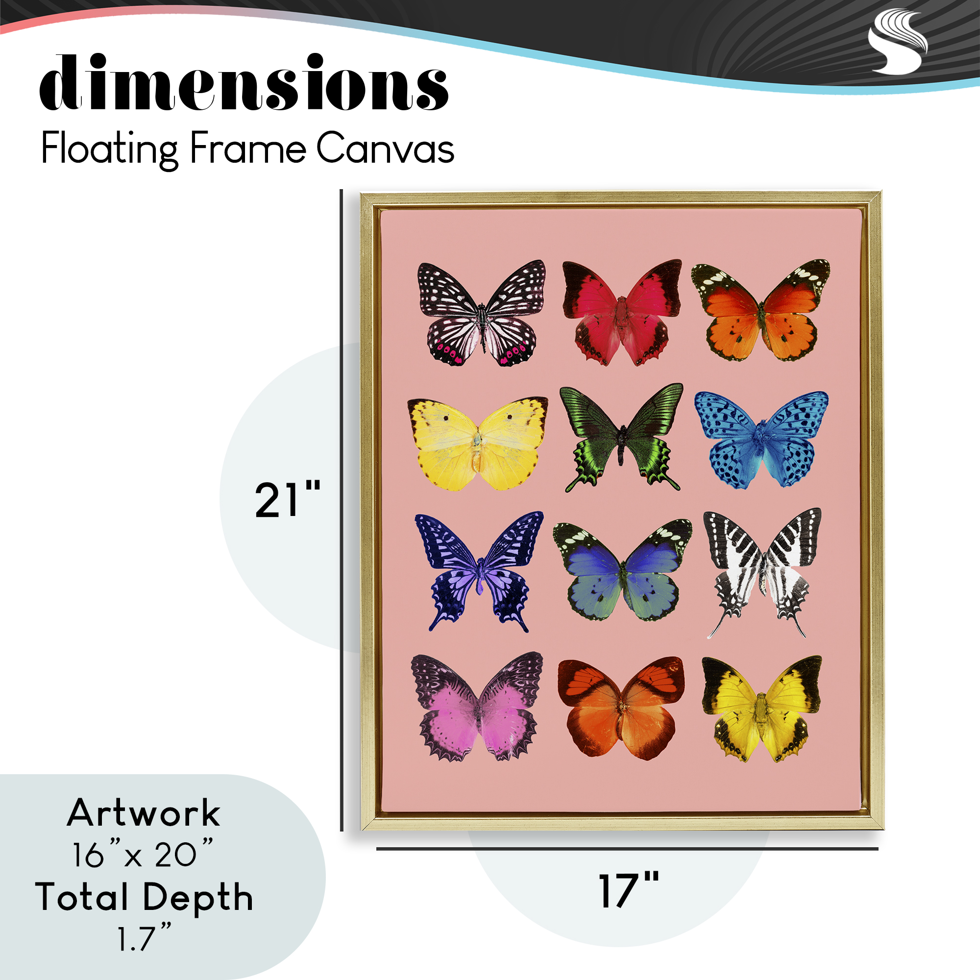 Butterfly Species on Pink Gold Framed Floater Canvas Wall Art, design by LISH Creative