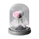 thumbnail image 1 of Regalo del día de San Valentín, caja de regalo con oso de flores eternas, regalo de cumpleaños creativo para novia, 1 of 5