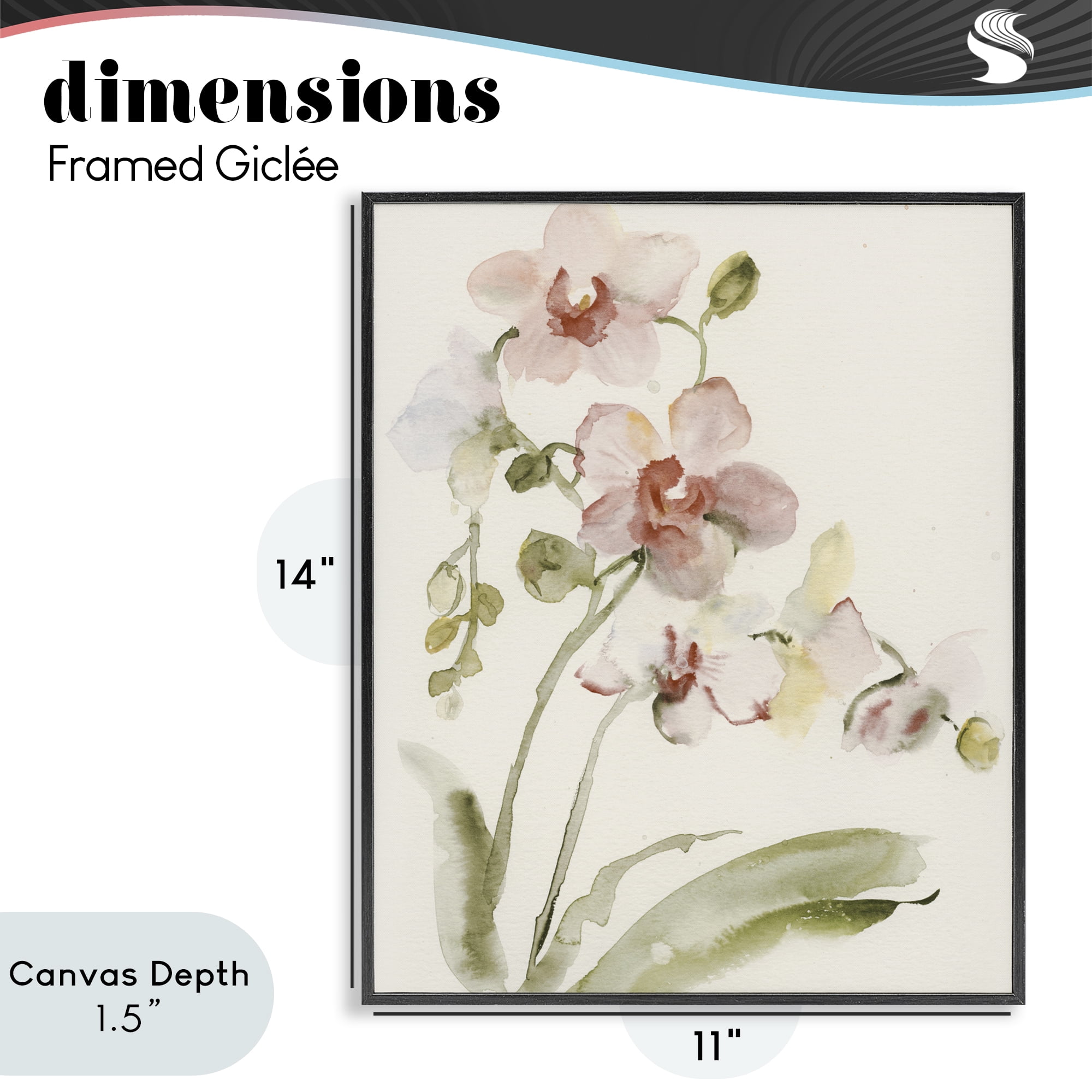 Stupell Industries Gentle Pink Orchid in Bloom Black Framed Giclee Art, design by Victoria Barnes