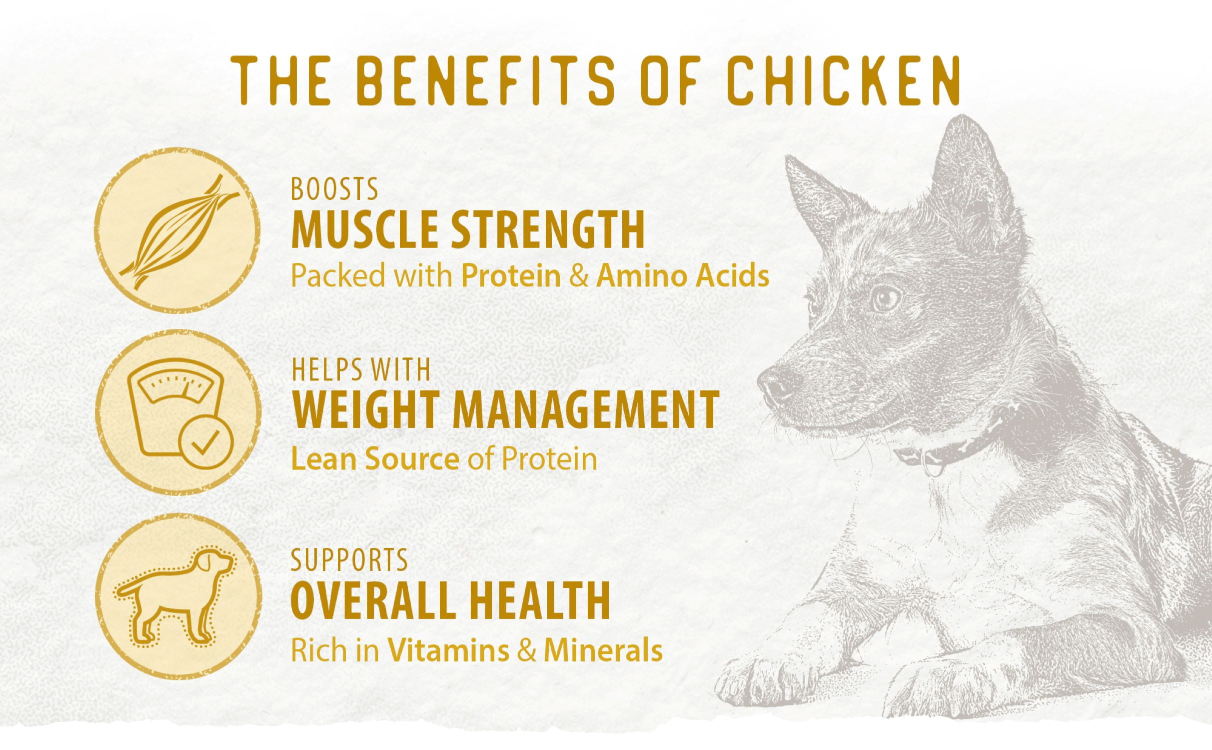 (24 pack) Caledon Farms Chicken Topper for Dogs, 4.4 oz Bag
