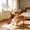 U, variant on Plush Star Squeaky Dog Chew Toy with TPR Ring, 2-in-1 Interactive Dental Teething Toy, Durable Bite-Resistant Pet Toy for Small to Medium Dogs to Play and Relieve Boredom C