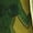 Army Green, variant on 2026 New Floral Print Tie-Waist Short-Sleeve Dress for Women