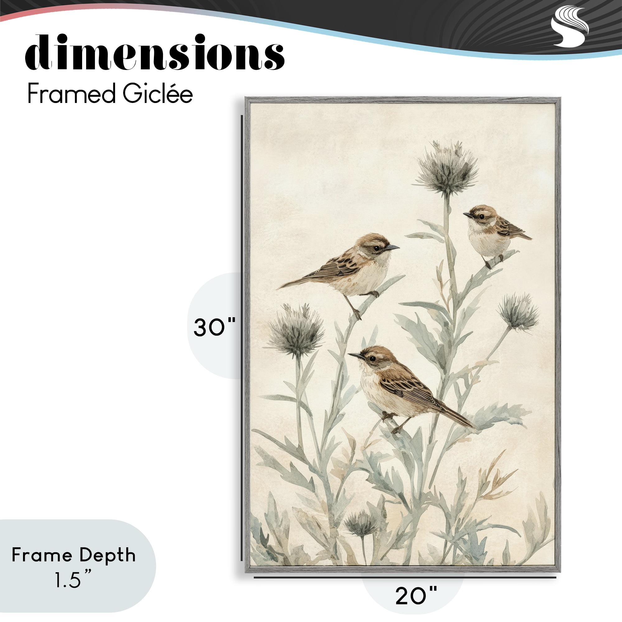 Stupell Industries Sparrows on Thistle Stems Gray Framed Giclee Art, design by Petal Prints Design