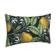 thumbnail image 2 of Balery Hand Drawn Citrus Fruits Elegant Lemons Bedding Queen Pillow Cases - Envelope Closure - Soft Brushed Microfiber Fabric - Shrinkage and Fade Resistant Pillow Cases-16"x24", 2 of 9