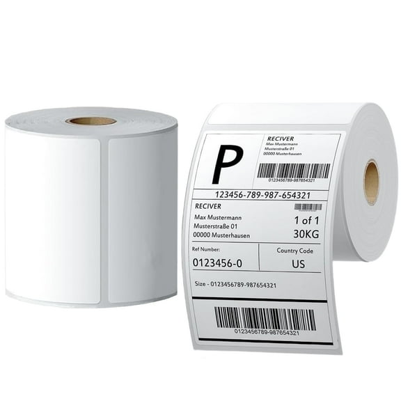 RyhamPaper 4x6 Thermal Labels, 450 Labels per Roll, Blank White 4x6 Shipping Labels for Zebra 2844 Zp-450 Zp-500 Zp-505 (2 Rolls)