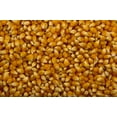 thumbnail image 3 of Snow Puff Popcorn Seeds to Grow 25 Seeds, 3 of 3