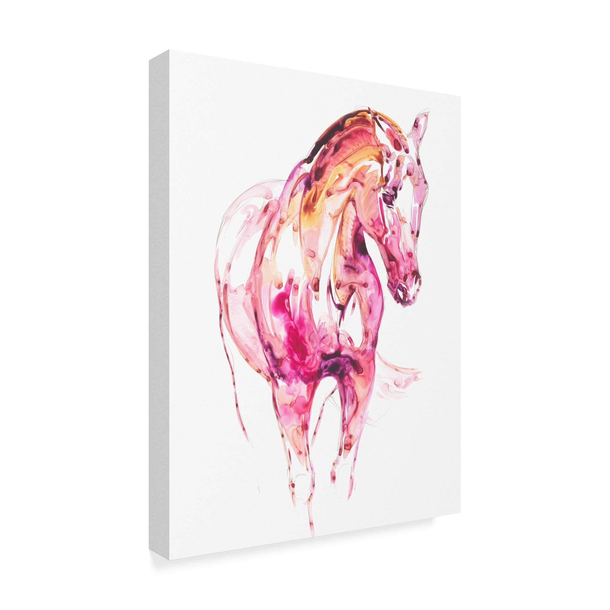 Trademark Fine Art 'Garnet Horse III' Canvas Art by Julie T. Chapman