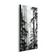 thumbnail image 2 of Forest Light Shining Through Tall Trees Landscape Photography Wall Plaque Art, 13 x 19, Made In USA, 2 of 6