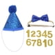 thumbnail image 1 of 1 juego de pajaritas decorativas para mascotas, adorables pajaritas, sombreros de cumpleaños para perros., 1 of 6