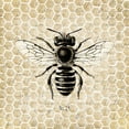thumbnail image 2 of Kimberly, Allen 26x26 White Modern Wood Framed Museum Art Print Titled - Honeycomb No 24, 2 of 4