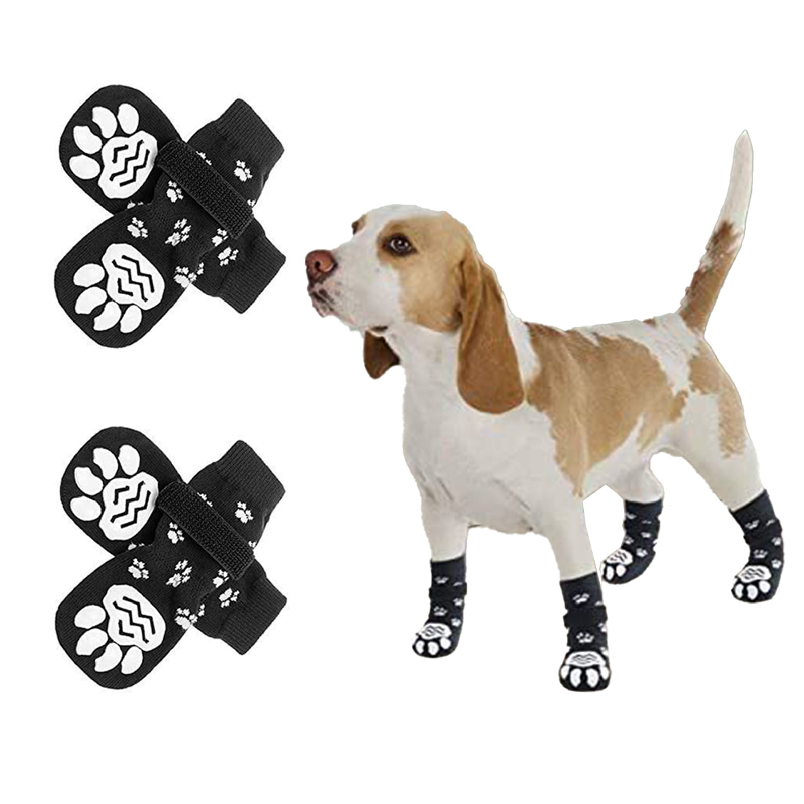 Why Cant Dogs Walk On Hardwood Floors