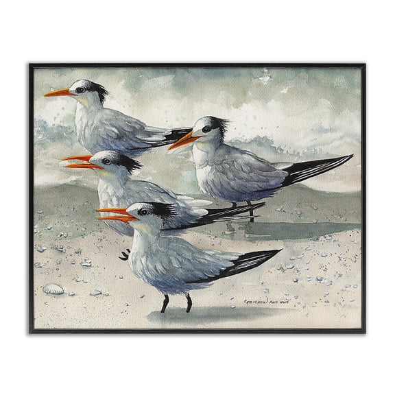 Stupell Industries Traditional Chirping Beach Birds Black Framed Giclee Art, 14 x 11, by Christine Reichow