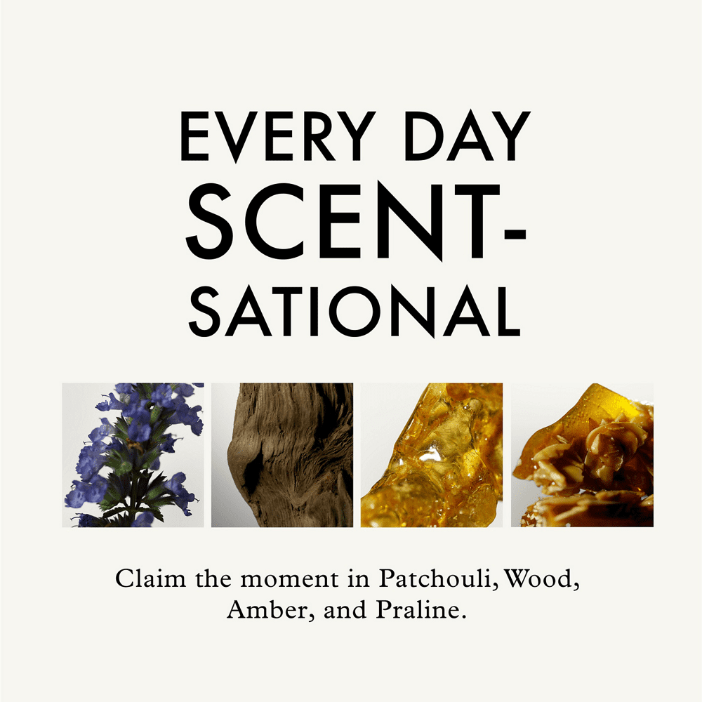 Revitalisant sans rinçage Frizz Ease Daily Nourishment de John Frieda