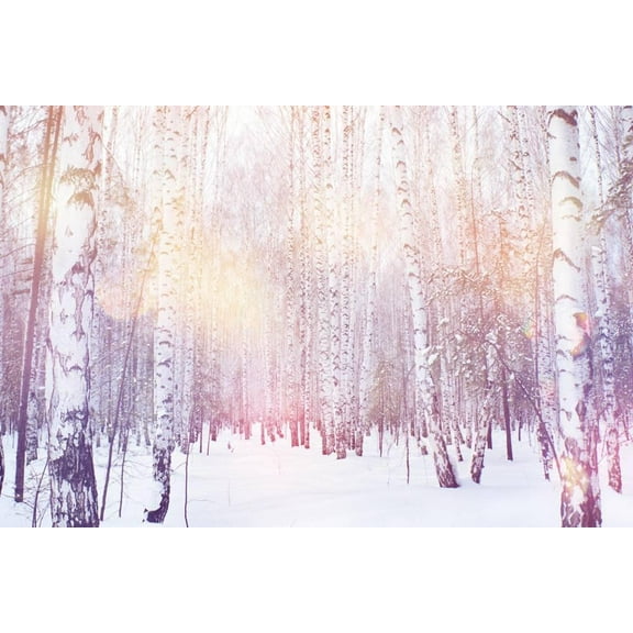 Winter Magic Birch Grove, Unframed Photographic Print Wall Art by Ataly Sold by Art.Com