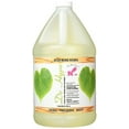 Kelco 501 Dr Hypo Shampoo Gallon